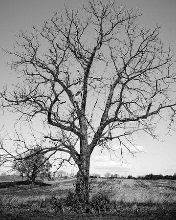Fine Art Photography | Nature Landscapes